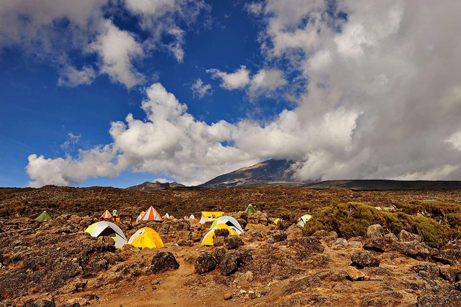 Kilimanjaro — Lemosho Route mountain route